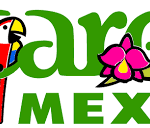 vacation All inclusive resorts