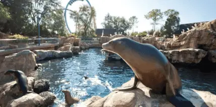 vacation club seaworld parks